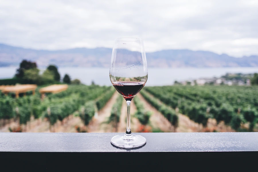 Bodega — barricas de vino